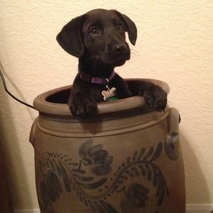 Meet your Posher, Beth